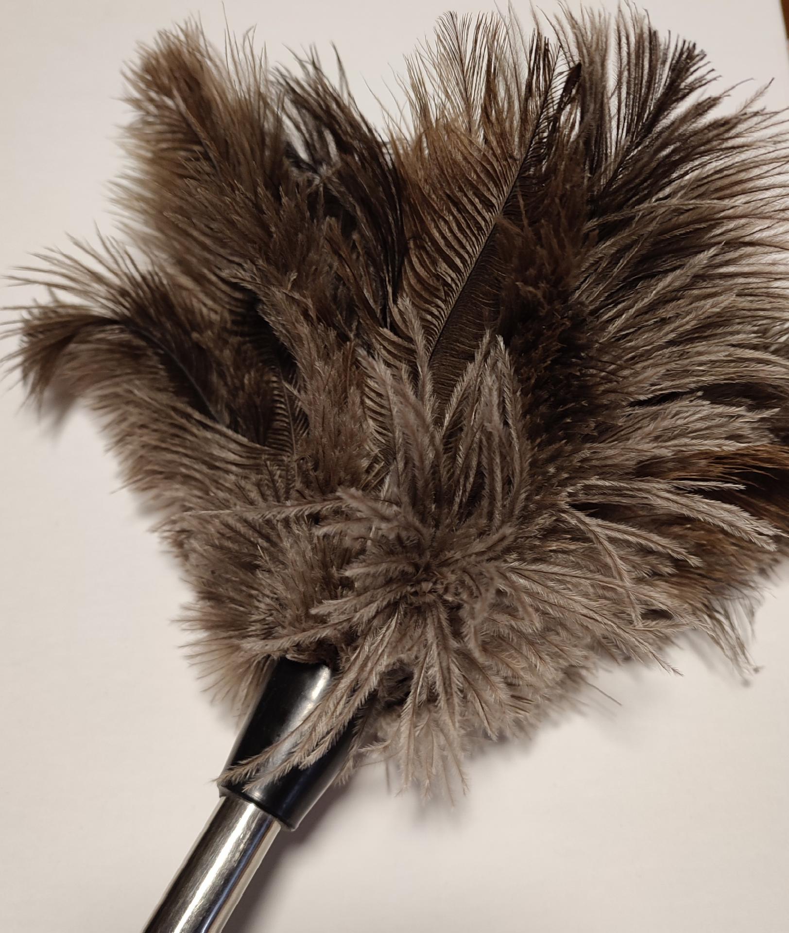 Plumeau Ostrich Feather Duster 26 Long All-Natural – Savon Francais